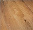 Rovere accadueo