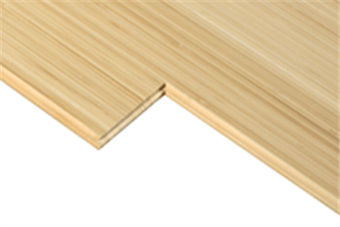Bamboo